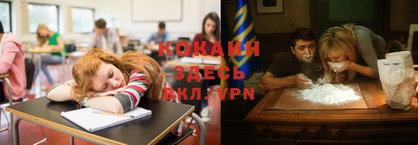 дмт Аркадак