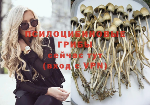 дмт Аркадак